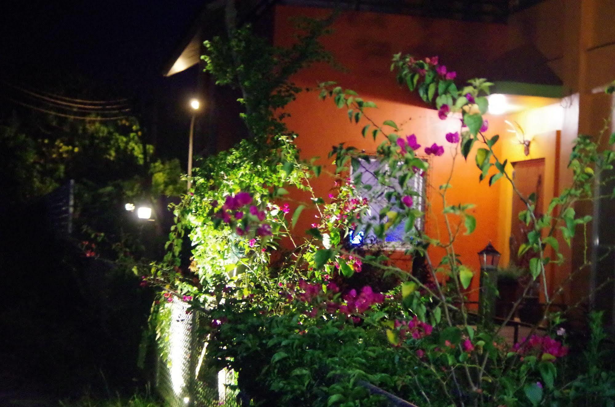 Lung Hill B&B Taitung ภายนอก รูปภาพ